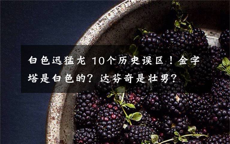 白色迅猛龙 10个历史误区!金字塔是白色的?达芬奇是壮男?