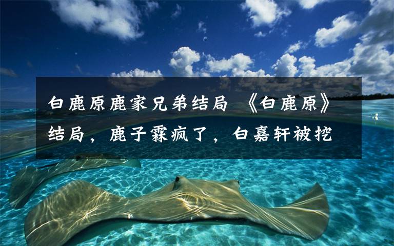 白鹿原鹿家兄弟结局 《白鹿原》结局,鹿子霖疯了,白嘉轩被挖了一只眼