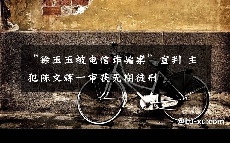 “徐玉玉被电信诈骗案”宣判 主犯陈文辉一审获无期徒刑