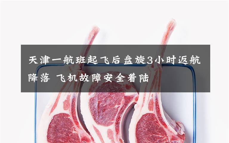 天津一航班起飞后盘旋3小时返航降落 飞机故障安全着陆
