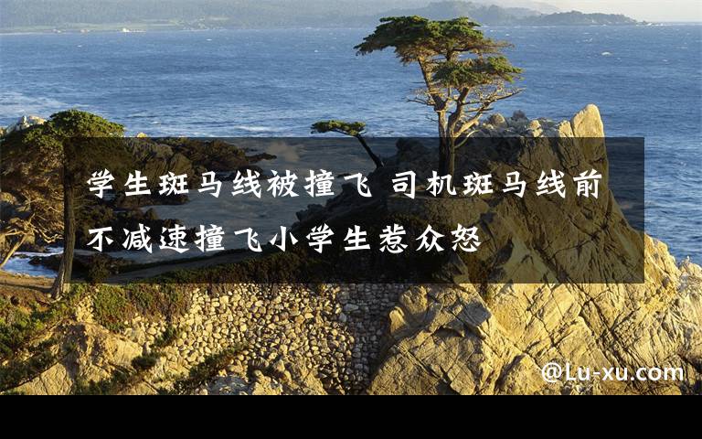 学生斑马线被撞飞 司机斑马线前不减速撞飞小学生惹众怒