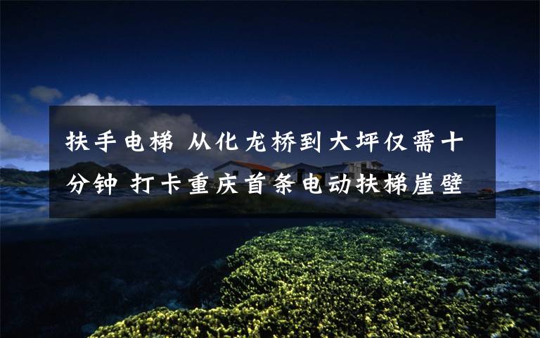 扶手电梯 从化龙桥到大坪仅需十分钟 打卡重庆首条电动扶梯崖壁步道试运行首日