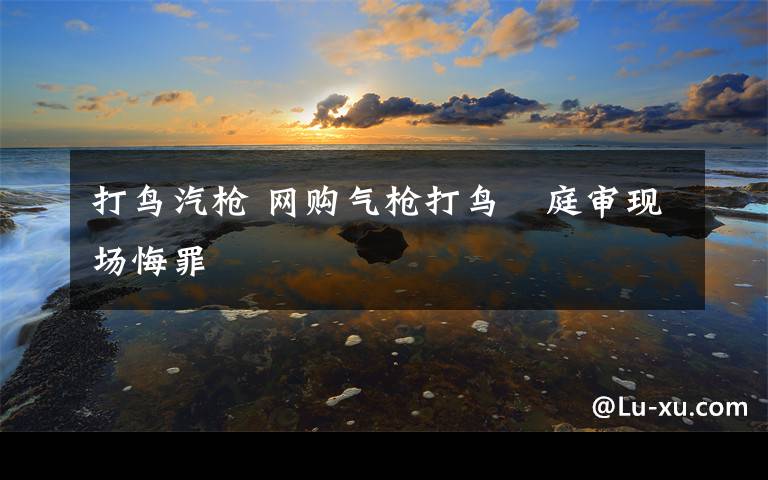 打鸟汽枪 网购气枪打鸟　庭审现场悔罪