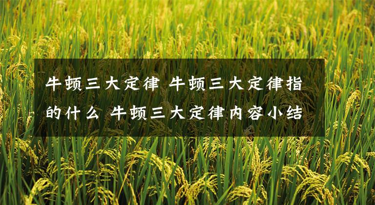 牛顿三大定律 牛顿三大定律指的什么 牛顿三大定律内容小结