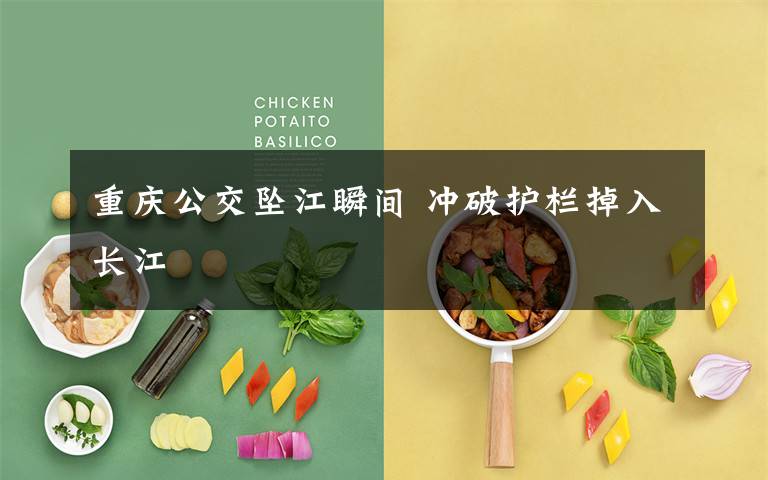 重庆公交坠江瞬间 冲破护栏掉入长江