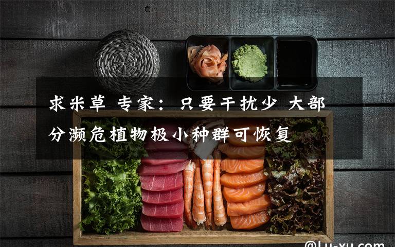 求米草 专家:只要干扰少 大部分濒危植物极小种群可恢复