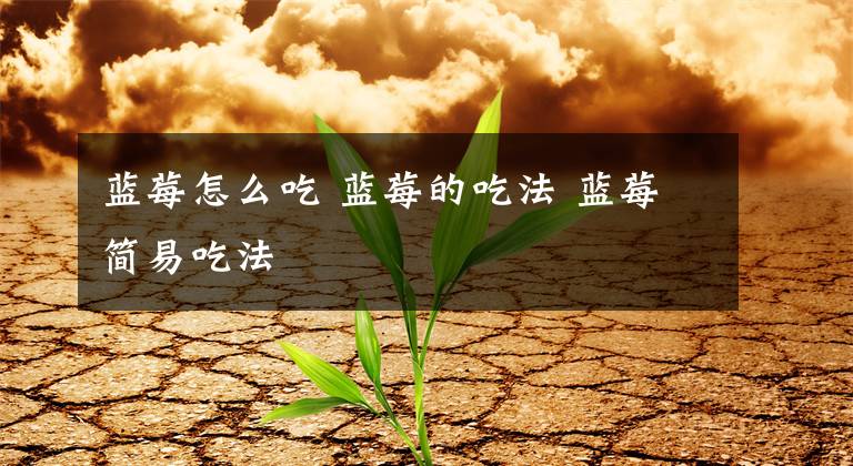 蓝莓怎么吃 蓝莓的吃法 蓝莓简易吃法