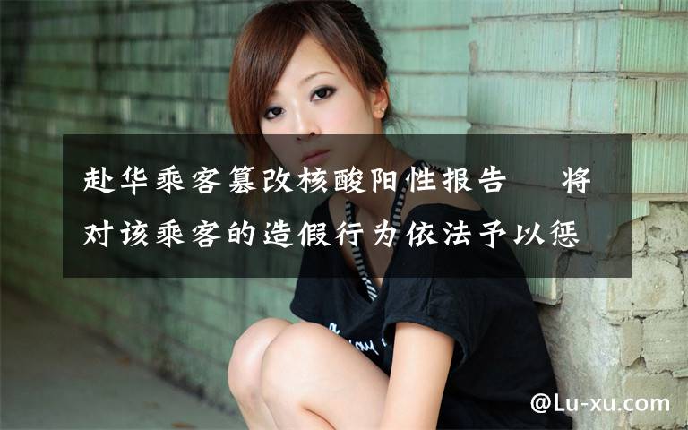 赴华乘客篡改核酸阳性报告  将对该乘客的造假行为依法予以惩处 真相到底是怎样的?