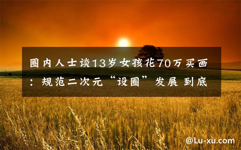圈内人士谈13岁女孩花70万买画:规范二次元“设圈”发展 到底什么情况呢?