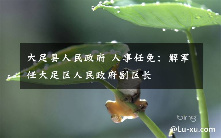 大足县人民政府 人事任免:解军任大足区人民政府副区长
