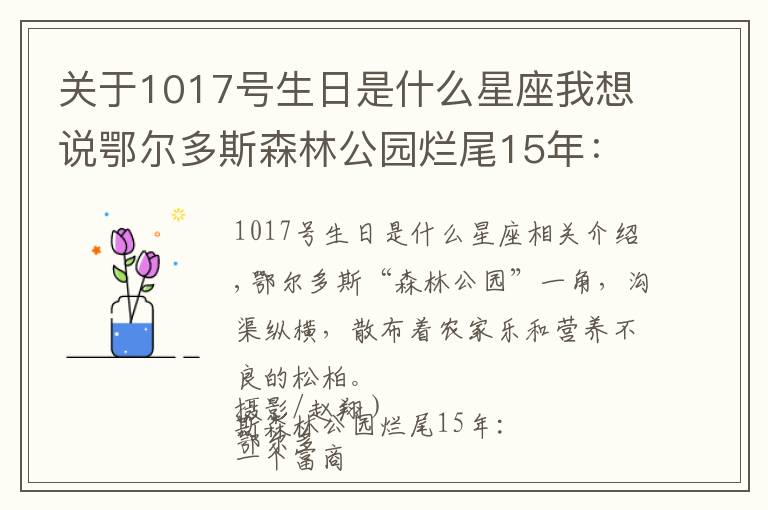 关于1017号生日是什么星座我想说鄂尔多斯森林公园烂尾15年:一个富商的土地生意
