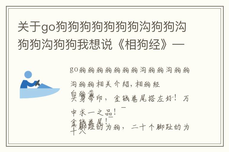 关于go狗狗狗狗狗狗狗沟狗狗沟狗狗沟狗狗我想说《相狗经》——教你挑选出色的狗狗