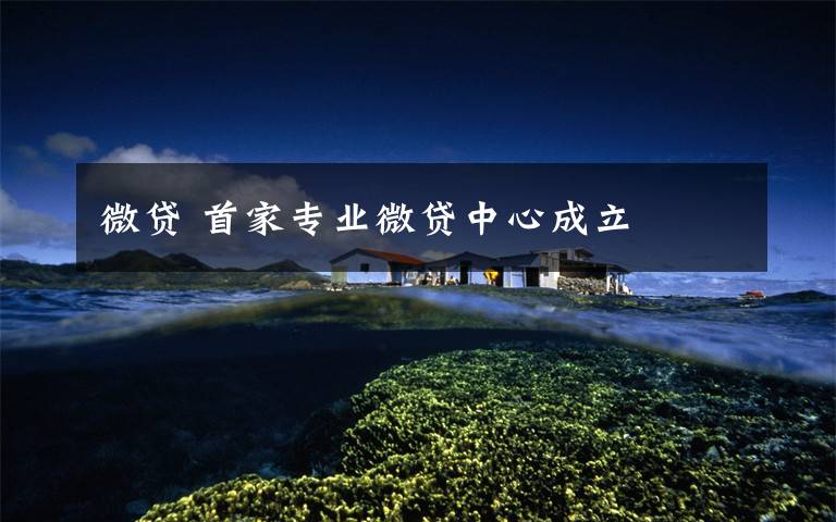 微贷 首家专业微贷中心成立
