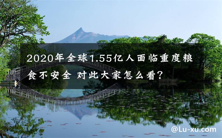 2020年全球1.55亿人面临重度粮食不安全 对此大家怎么看?