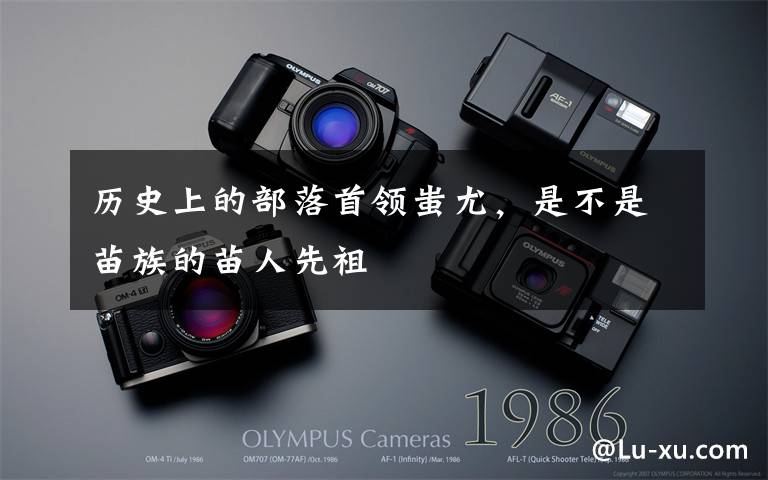 历史上的部落首领蚩尤,是不是苗族的苗人先祖