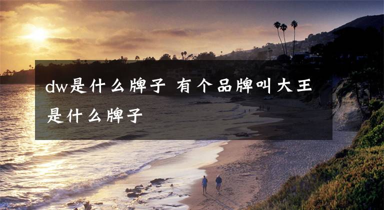 dw是什么牌子 有个品牌叫大王是什么牌子