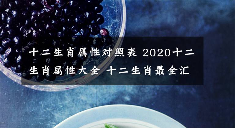十二生肖属性对照表 2020十二生肖属性大全 十二生肖最全汇总