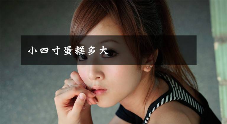 小四寸蛋糕多大