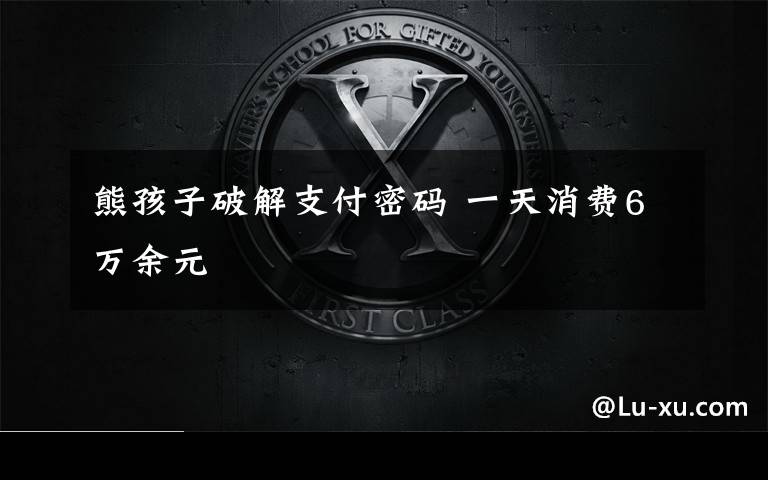 熊孩子破解支付密码 一天消费6万余元