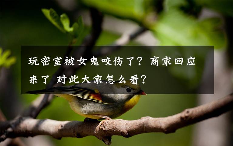 玩密室被女鬼咬伤了?商家回应来了 对此大家怎么看?