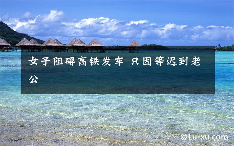 女子阻碍高铁发车 只因等迟到老公