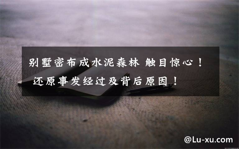 别墅密布成水泥森林 触目惊心! 还原事发经过及背后原因!