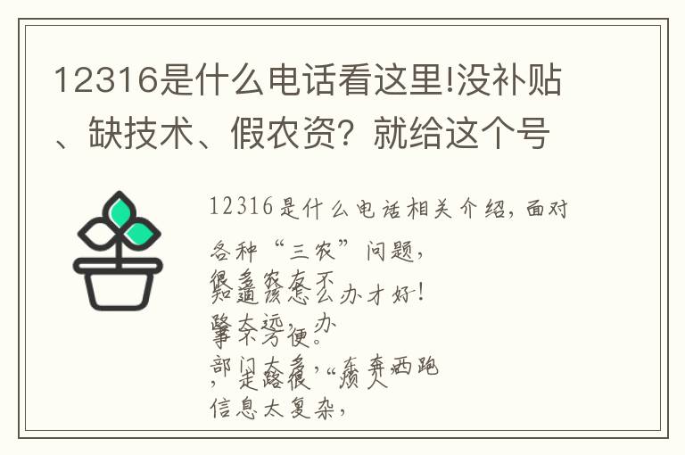 12316是什么电话看这里!没补贴、缺技术、假农资?就给这个号码打电话!
