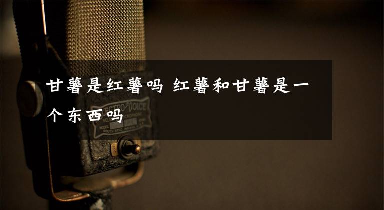 甘薯是红薯吗 红薯和甘薯是一个东西吗