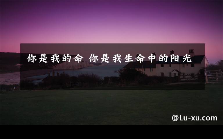 你是我的命 你是我生命中的阳光