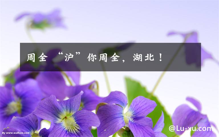 周全 “沪”你周全,湖北!