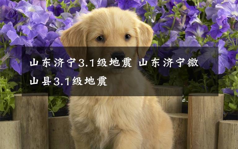 山东济宁3.1级地震 山东济宁微山县3.1级地震