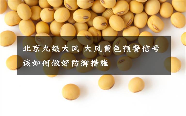 北京九级大风 大风黄色预警信号该如何做好防御措施