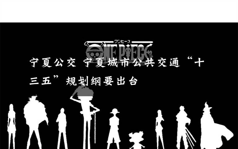 宁夏公交 宁夏城市公共交通“十三五”规划纲要出台