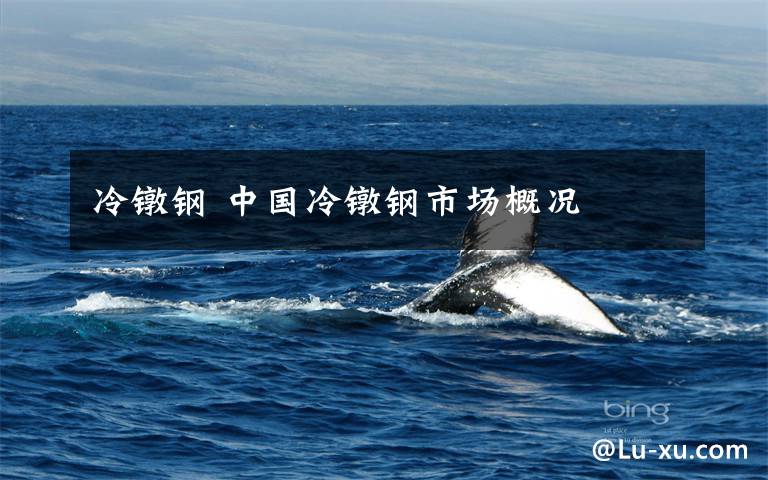 冷镦钢 中国冷镦钢市场概况