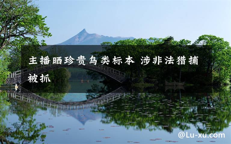 主播晒珍贵鸟类标本 涉非法猎捕被抓