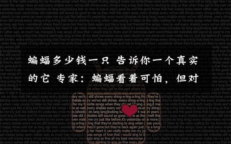 蝙蝠多少钱一只 告诉你一个真实的它 专家:蝙蝠看着可怕,但对维护生态平衡功不可没