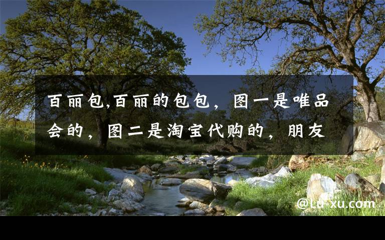 百丽包,百丽的包包，图一是唯品会的，图二是淘宝代购的，朋友说淘宝的是假货来的，唯品会是正品。