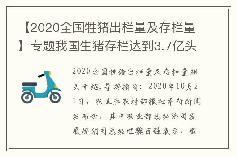 【2020全国牲猪出栏量及存栏量】专题我国生猪存栏达到3.7亿头,猪价全线跌破15元,养猪户要慌了