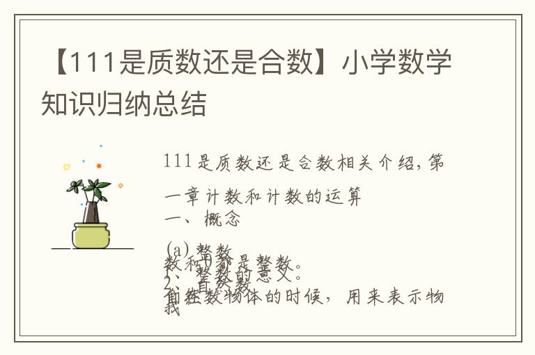 【111是质数还是合数】小学数学知识归纳总结
