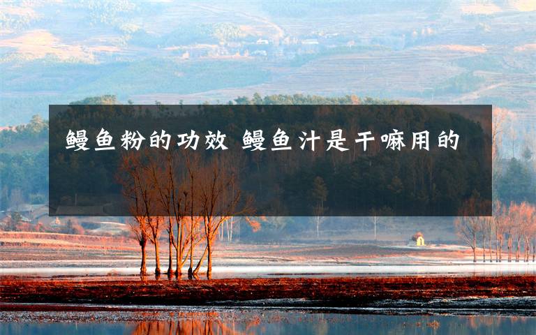 鳗鱼粉的功效 鳗鱼汁是干嘛用的