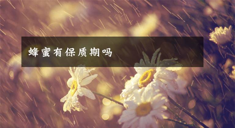 蜂蜜有保质期吗
