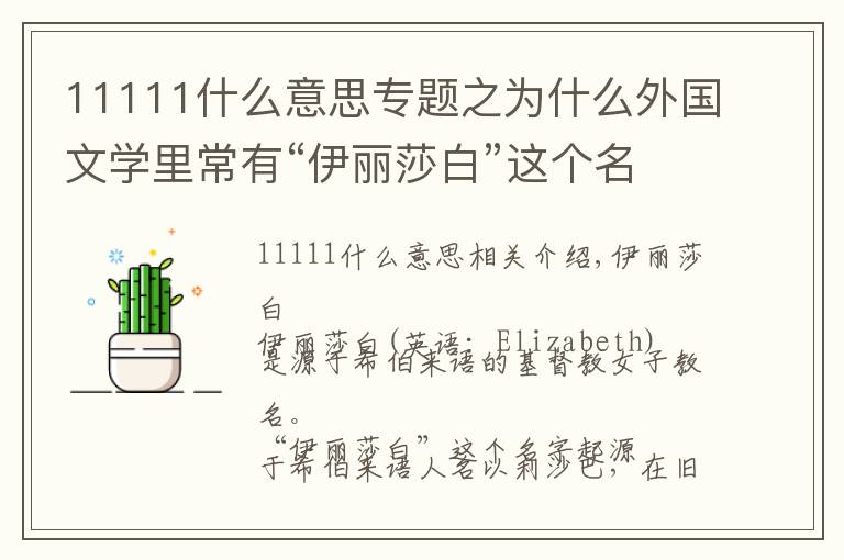 11111什么意思专题之为什么外国文学里常有“伊丽莎白”这个名字?伊丽莎白含义是什么