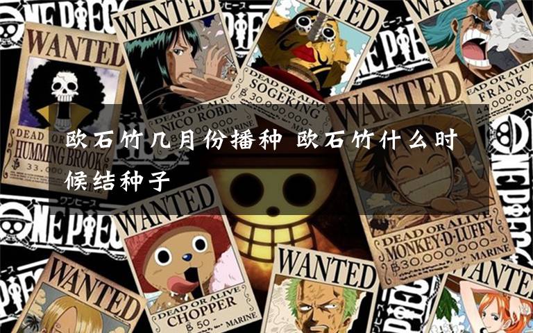 欧石竹几月份播种 欧石竹什么时候结种子