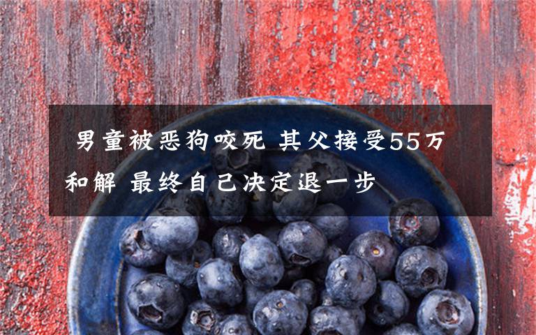 男童被恶狗咬死 其父接受55万和解 最终自己决定退一步