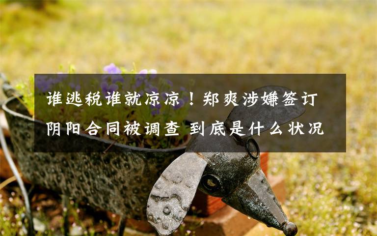 谁逃税谁就凉凉!郑爽涉嫌签订阴阳合同被调查 到底是什么状况?