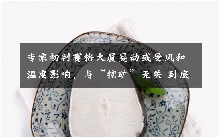 专家初判赛格大厦晃动或受风和温度影响,与“挖矿”无关 到底是什么状况?