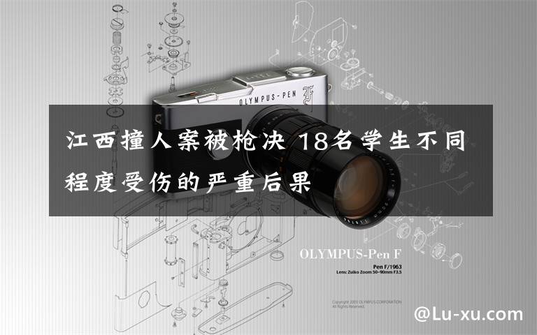 江西撞人案被枪决 18名学生不同程度受伤的严重后果