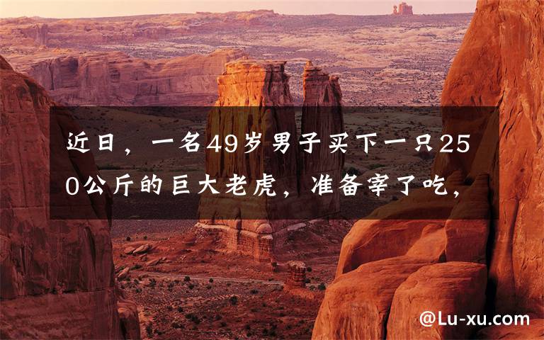 近日，一名49岁男子买下一只250公斤的巨大老虎，准备宰了吃，现场一幕曝光令人咋舌。