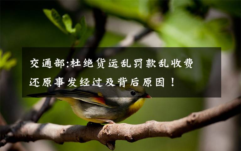 交通部:杜绝货运乱罚款乱收费 还原事发经过及背后原因!