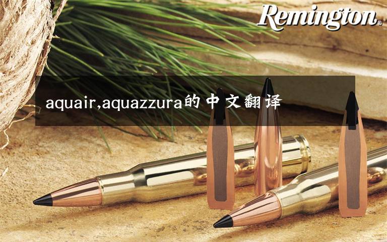 aquair,aquazzura的中文翻译